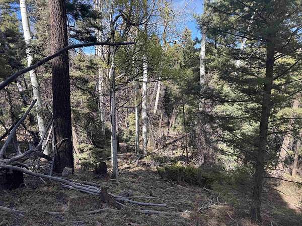 0.9 Acres of Residential Land for Sale in Angel Fire, New Mexico