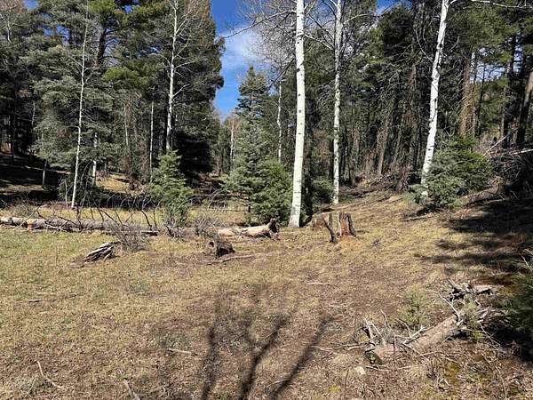 0.79 Acres of Residential Land for Sale in Angel Fire, New Mexico