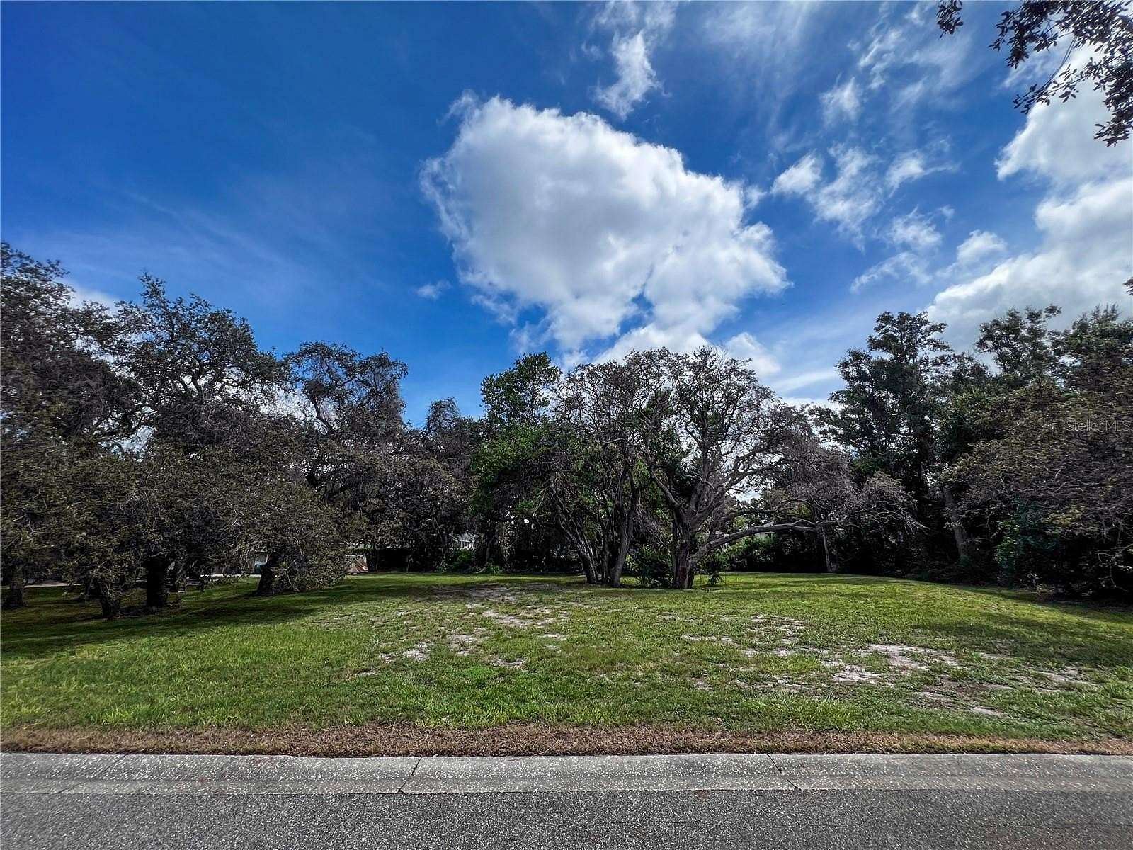 1 Acre of Residential Land for Auction in Palm Harbor, Florida