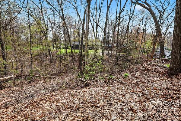 0.64 Acres of Land for Sale in Belding, Michigan