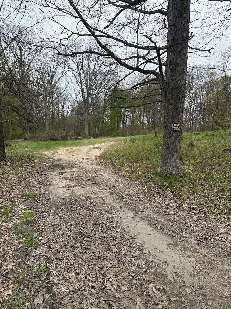 6 Acres of Land for Sale in Grand Junction, Michigan