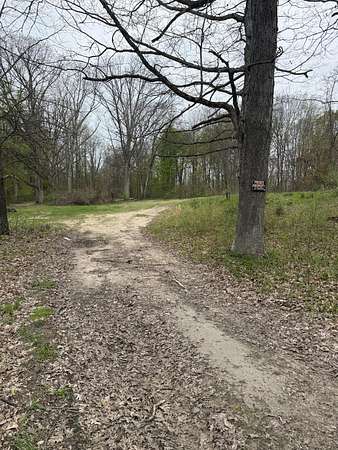 6 Acres of Land for Sale in Grand Junction, Michigan