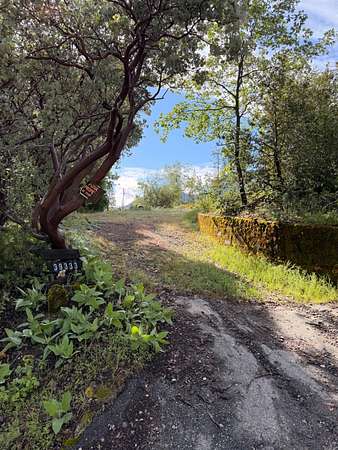 0.29 Acres of Residential Land for Sale in Oakhurst, California