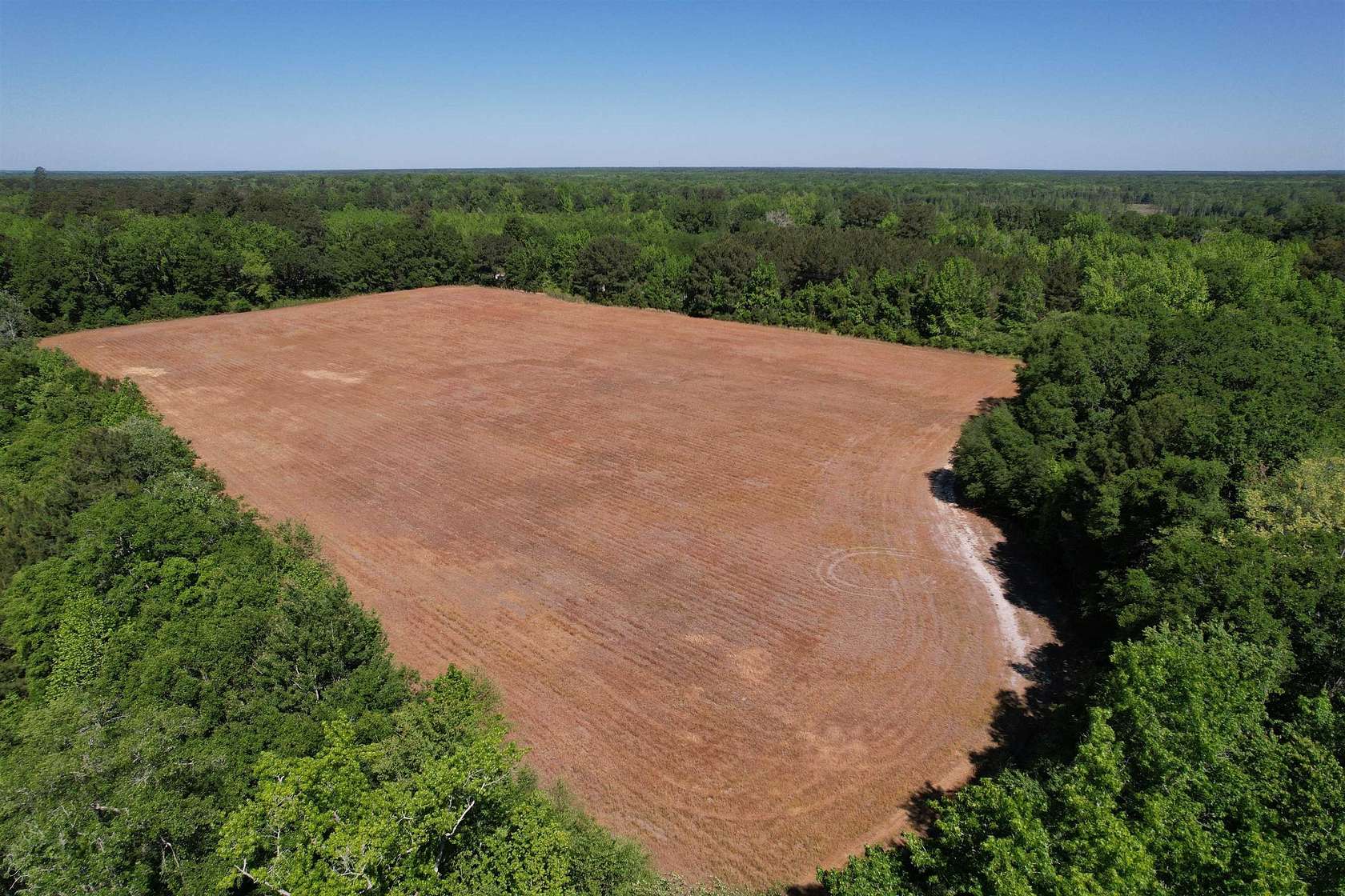 64 Acres of Recreational Land for Sale in Greeleyville, South Carolina