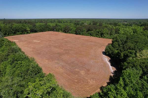 64 Acres of Recreational Land for Sale in Greeleyville, South Carolina
