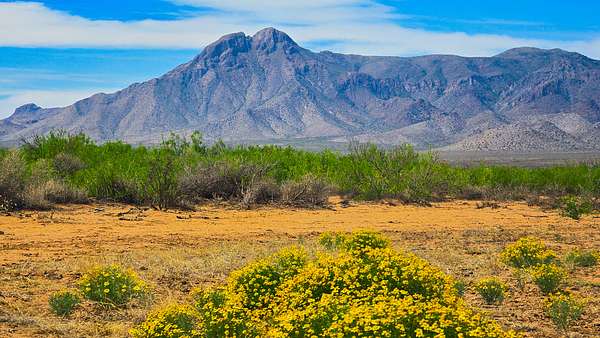1 Acre of Residential Land for Sale in Deming, New Mexico