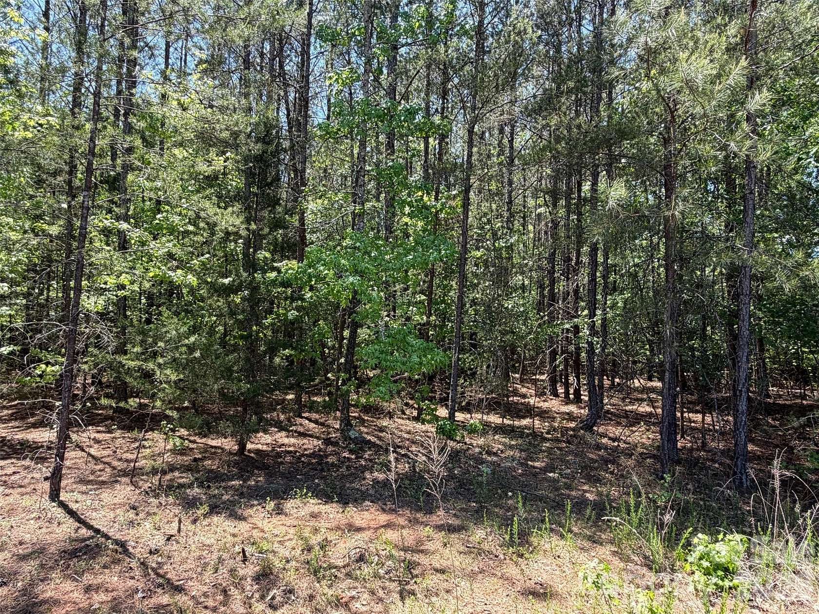 5 Acres of Residential Land for Sale in Union, South Carolina