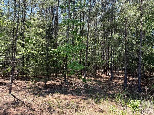 5 Acres of Residential Land for Sale in Union, South Carolina