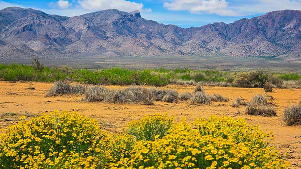 2 Acres of Residential Land for Sale in Deming, New Mexico