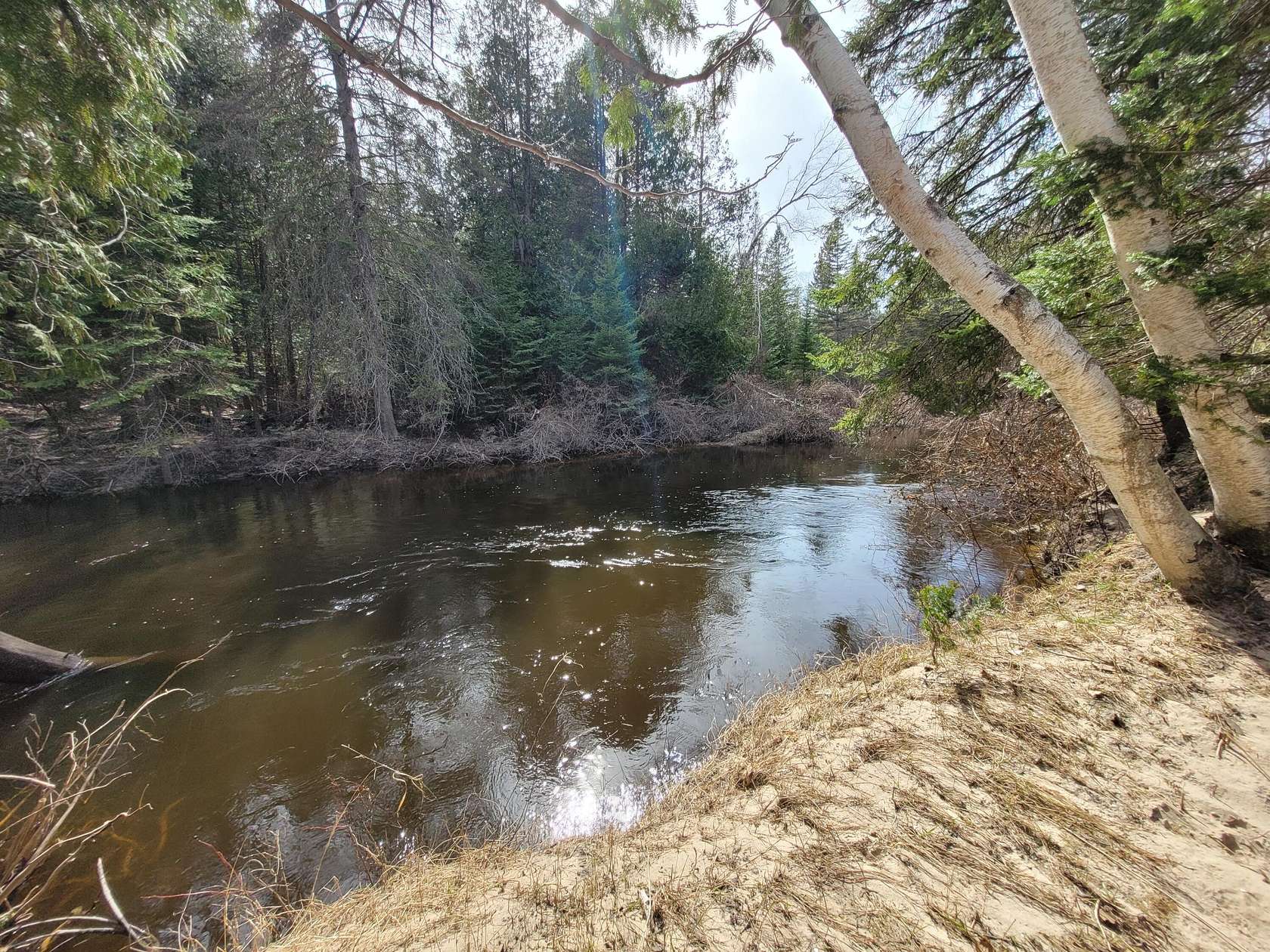 10 Acres of Recreational & Residential Land for Sale in Millersburg, Michigan