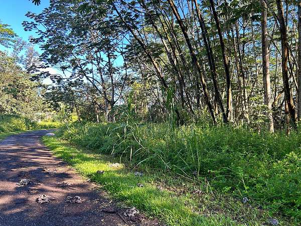0.2 Acres of Residential Land for Sale in Pahoa, Hawaii