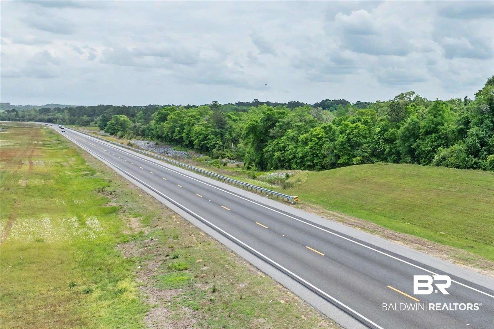 25.3 Acres of Land for Sale in Wilmer, Alabama