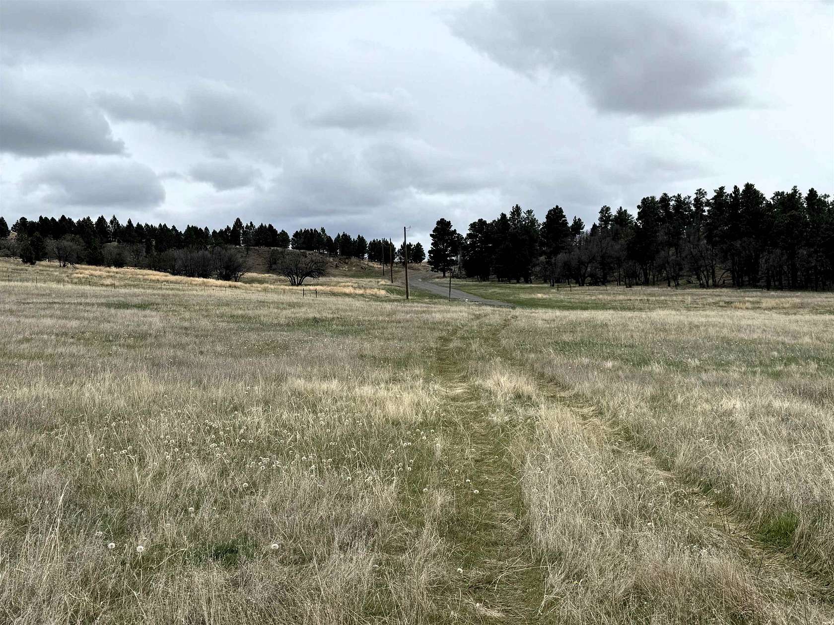 38 Acres of Recreational & Residential Land for Sale in Oshoto, Wyoming