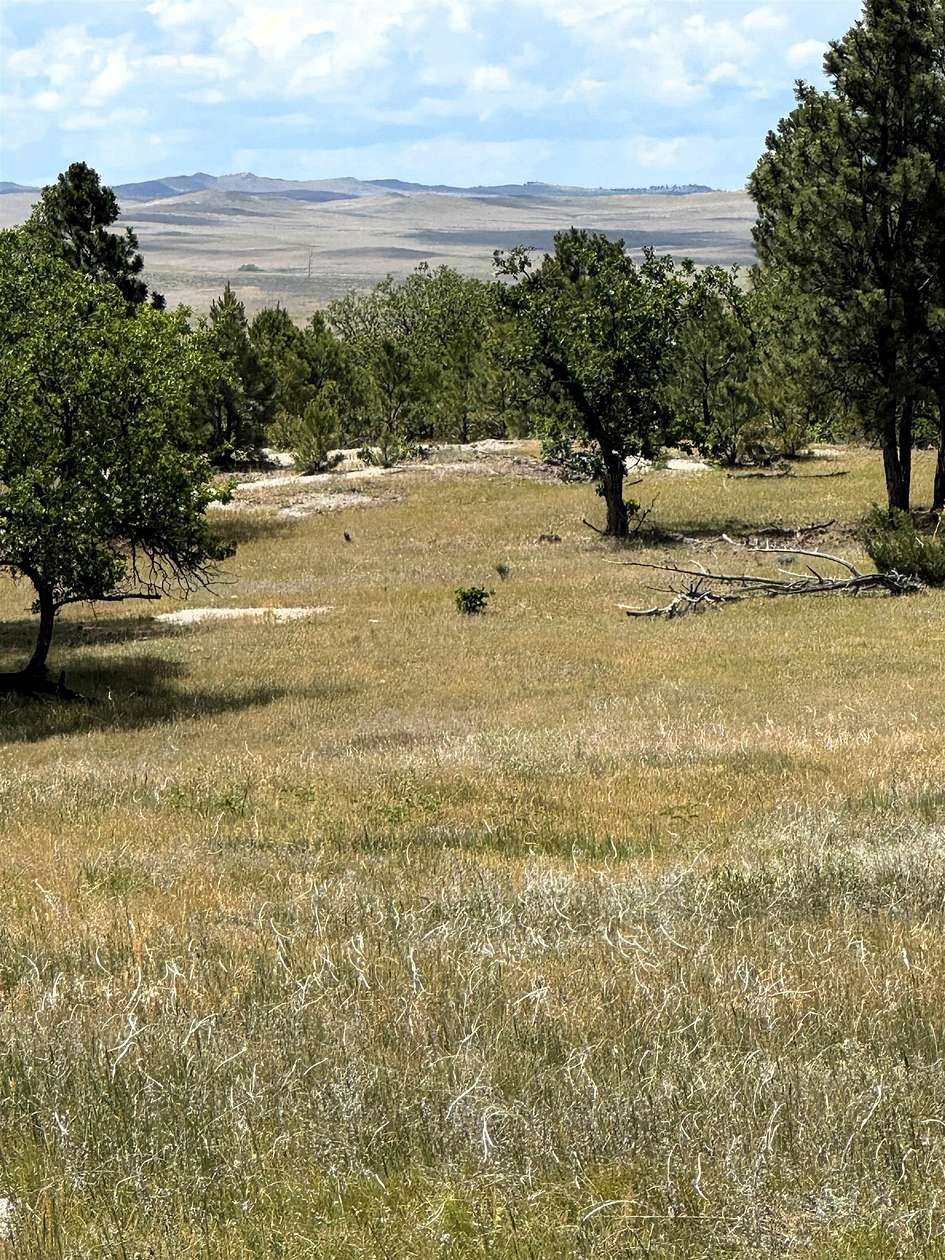38 Acres of Recreational & Residential Land for Sale in Oshoto, Wyoming