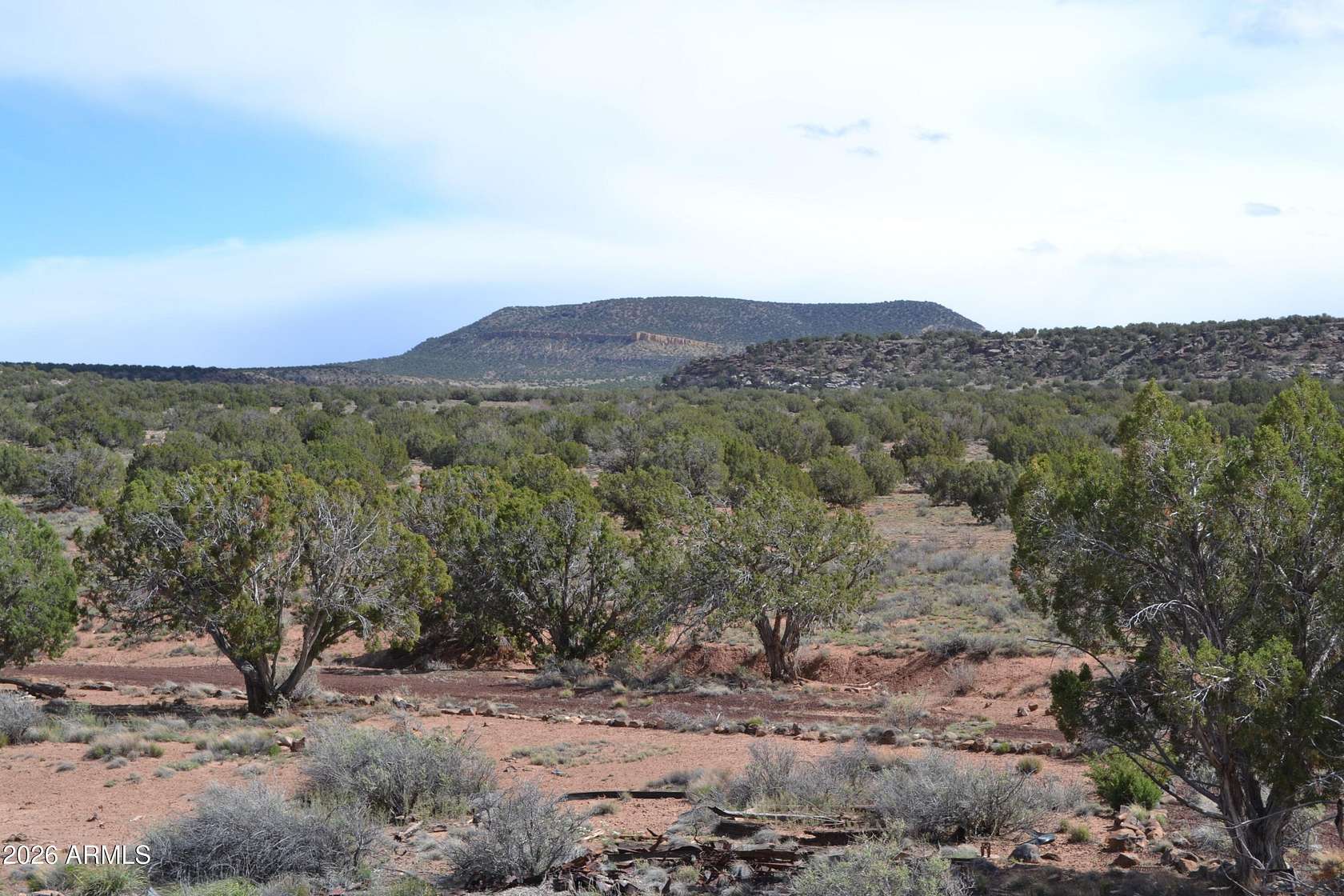38.7 Acres of Recreational Land for Sale in Concho, Arizona