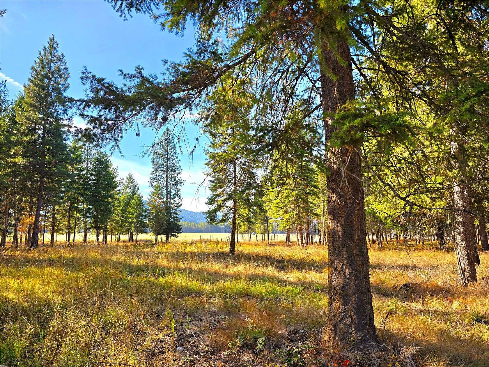 6.44 Acres of Land for Sale in Trout Creek, Montana