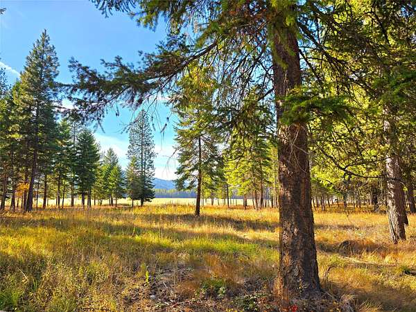 6.44 Acres of Land for Sale in Trout Creek, Montana