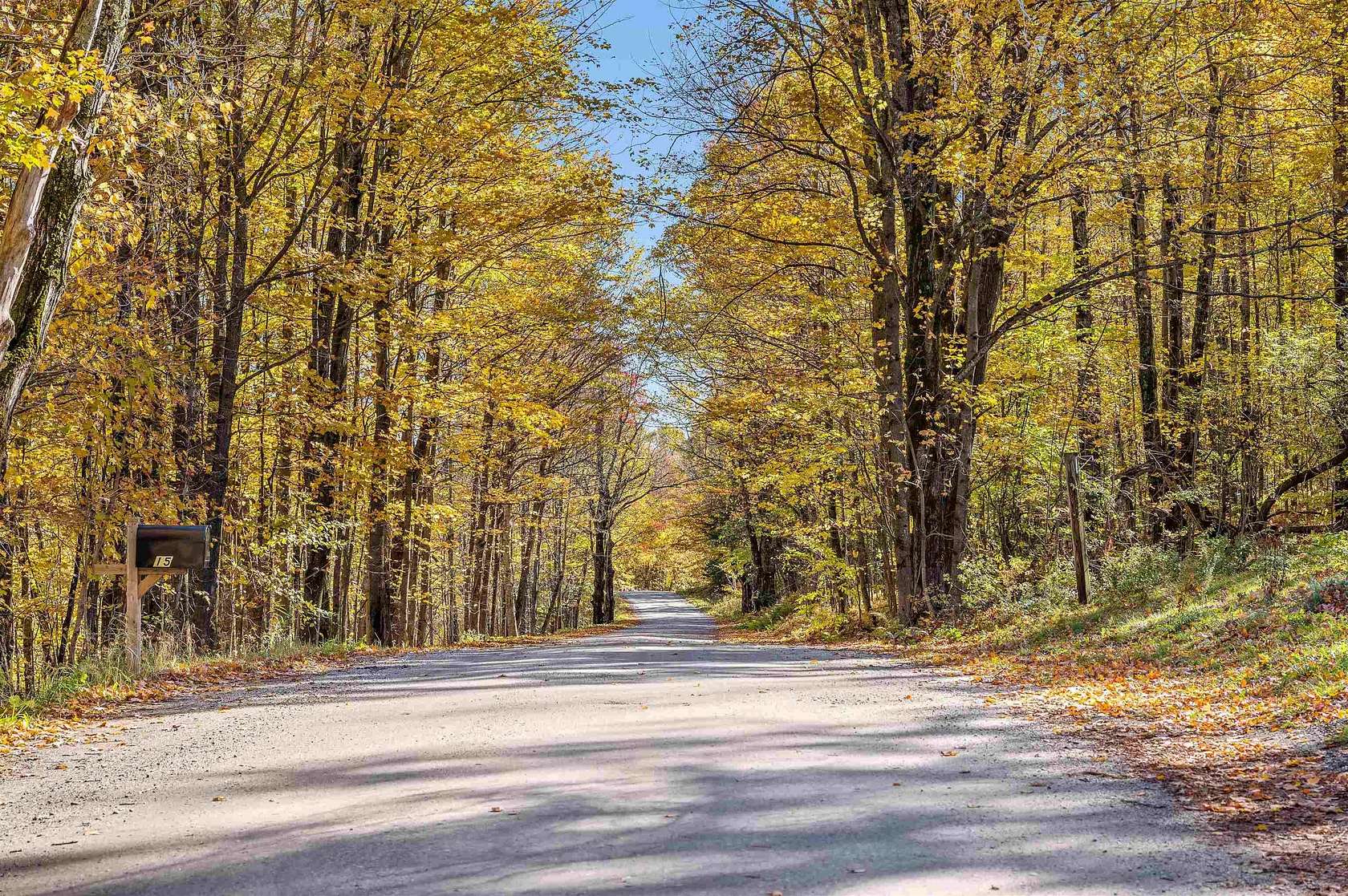 77.2 Acres of Recreational & Residential Land for Sale in Morristown, Vermont
