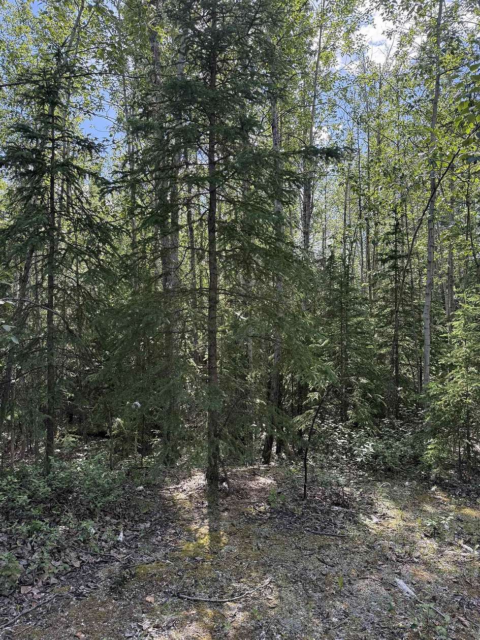 116 Acres of Land for Sale in Delta Junction, Alaska
