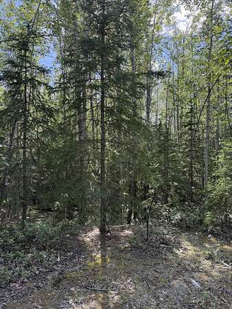 116 Acres of Land for Sale in Delta Junction, Alaska