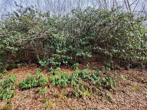 0.33 Acres of Land for Sale in Beech Mountain, North Carolina