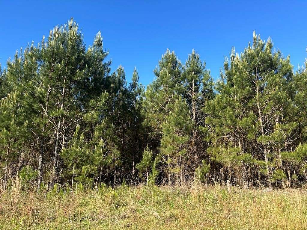16 Acres of Land for Sale in Dothan, Alabama