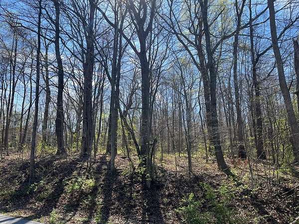 1 Acre of Residential Land for Sale in North Tazewell, Virginia