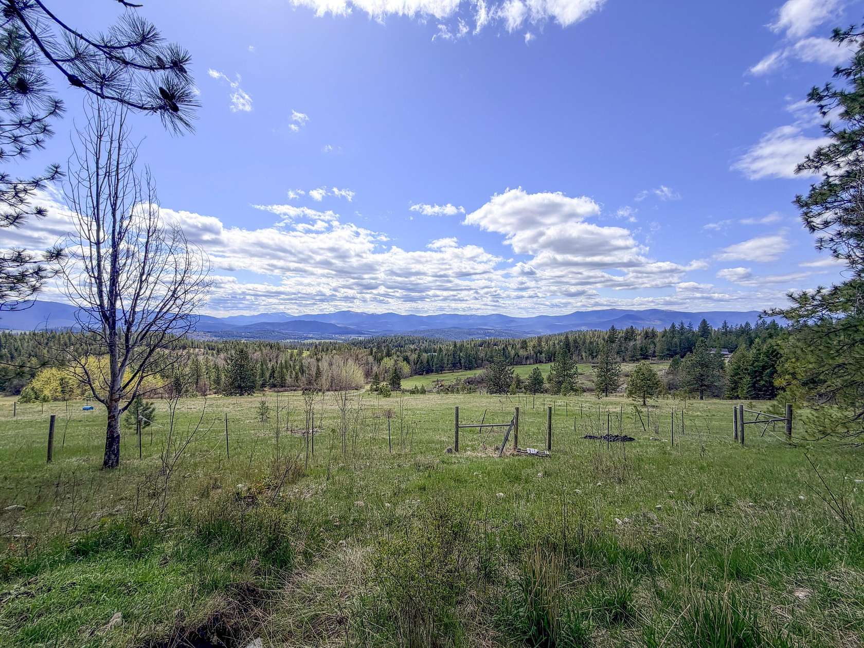 21.7 Acres of Land for Sale in Colville, Washington
