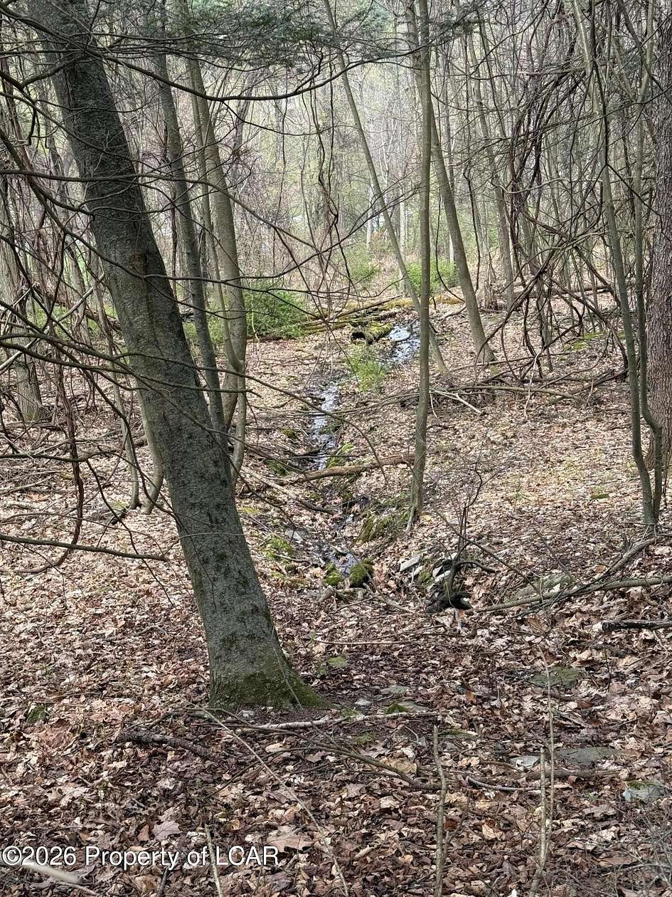 52 Acres of Recreational & Residential Land for Sale in Harding, Pennsylvania