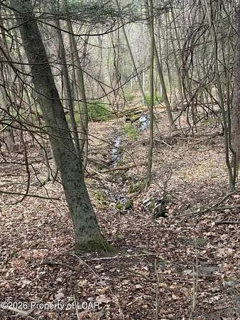 52 Acres of Recreational & Residential Land for Sale in Harding, Pennsylvania