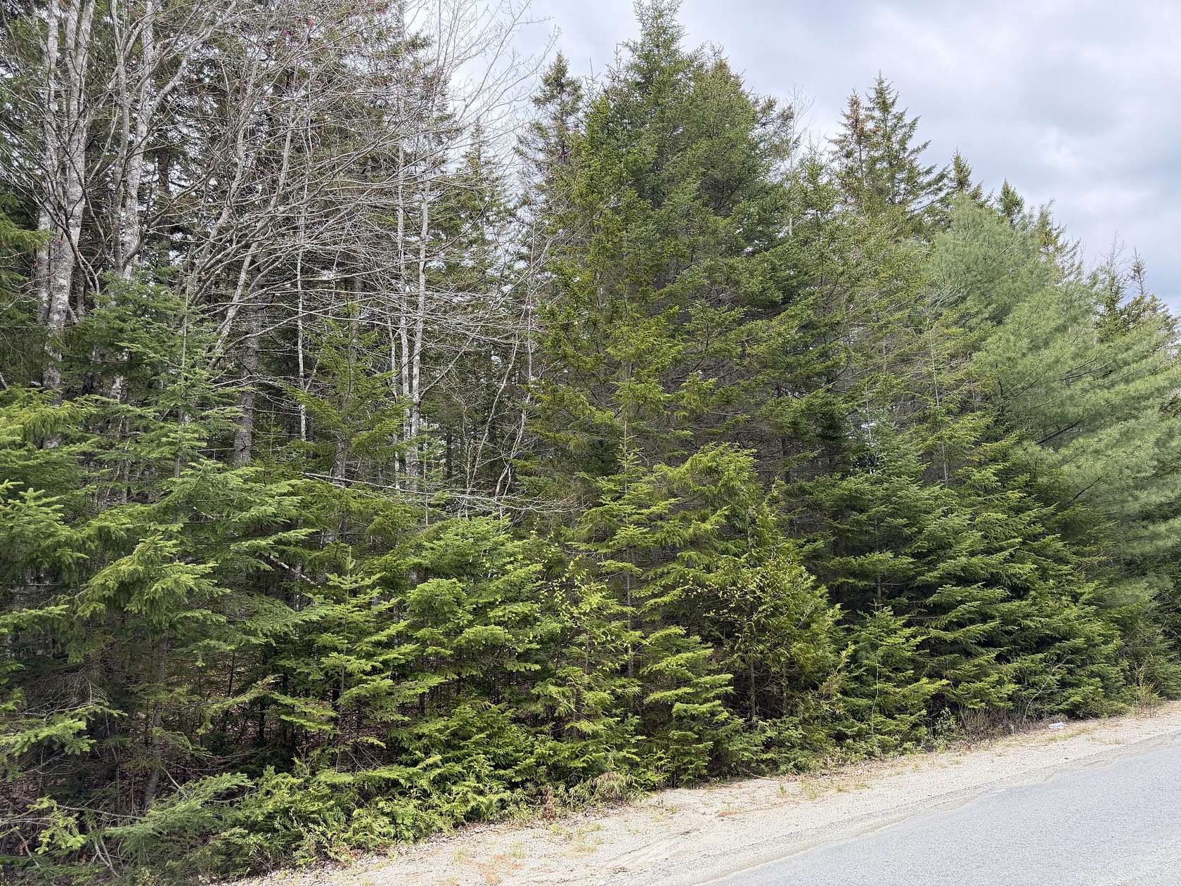 5.14 Acres of Residential Land for Sale in Gouldsboro, Maine