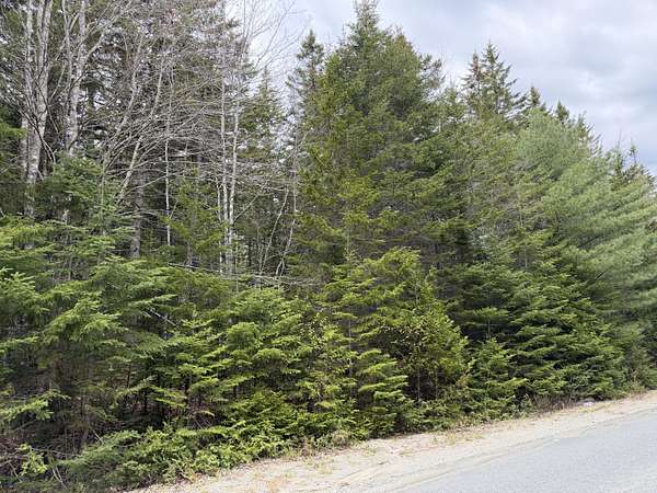 5.14 Acres of Residential Land for Sale in Gouldsboro, Maine