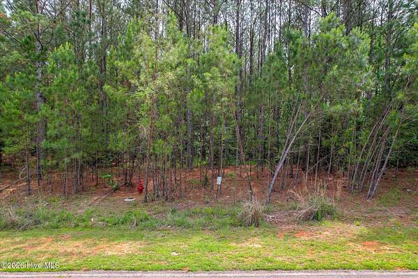 0.75 Acres of Residential Land for Sale in Lincolnton, Georgia