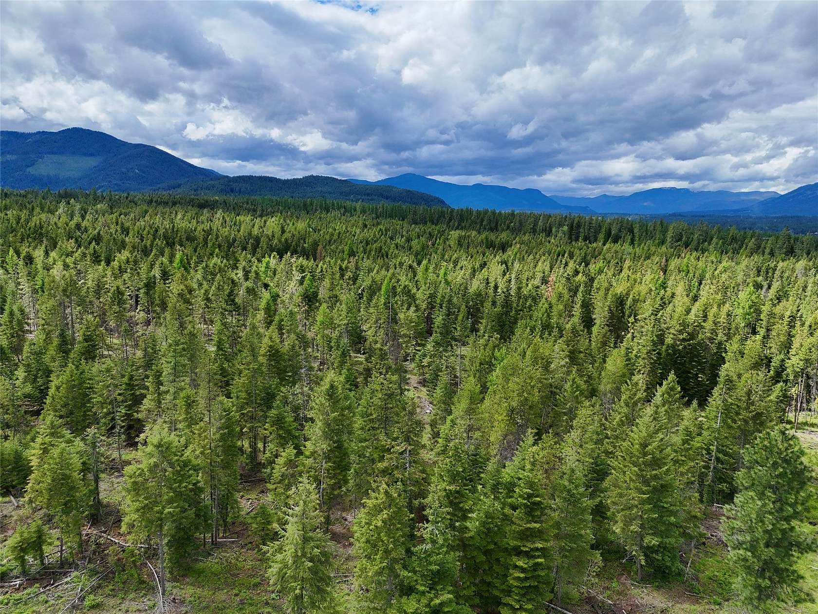 160 Acres of Recreational & Residential Land for Sale in Trout Creek, Montana