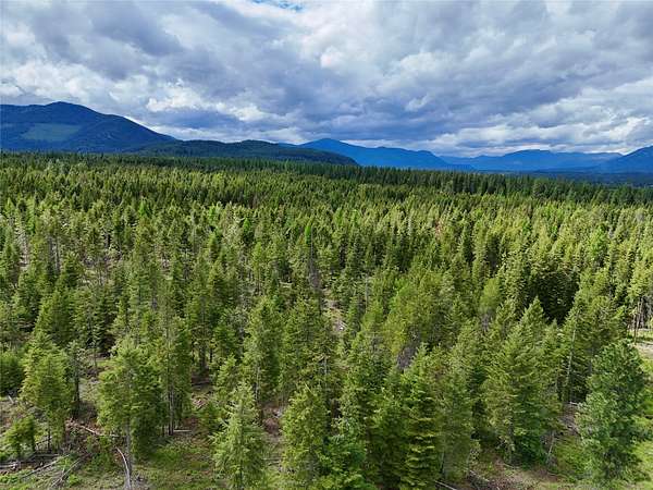 160 Acres of Recreational & Residential Land for Sale in Trout Creek, Montana