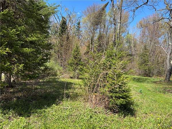 1 Acre of Land for Sale in Remsen, New York