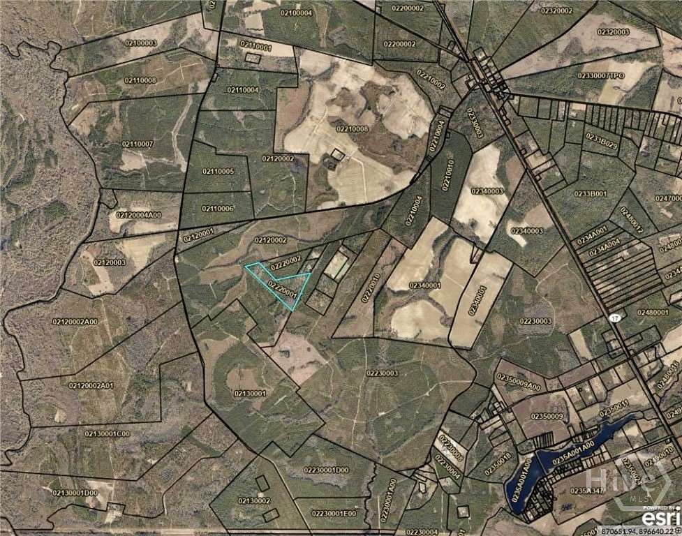 43.6 Acres of Land for Sale in Guyton, Georgia