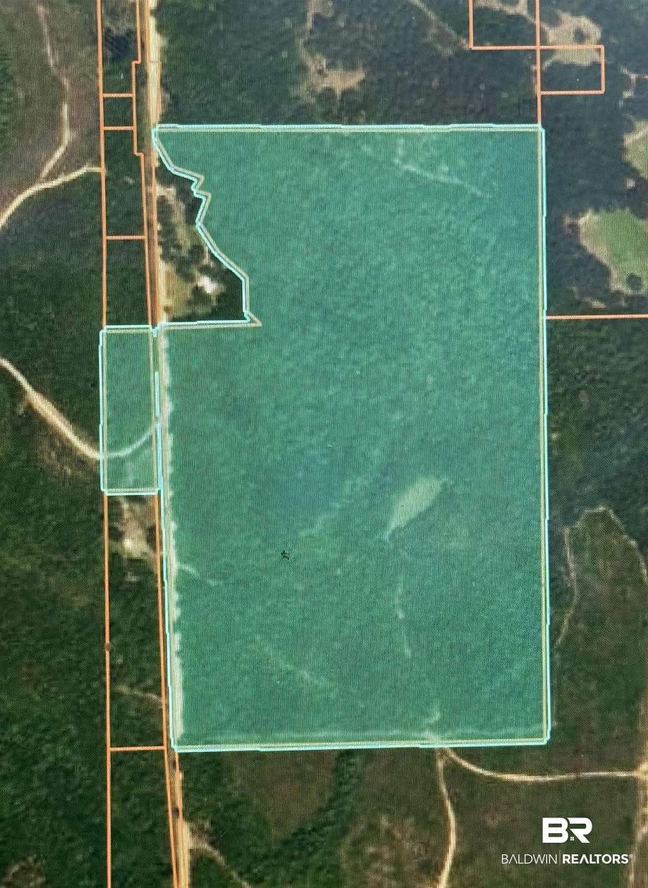 51 Acres of Recreational & Residential Land for Sale in Mount Vernon, Alabama
