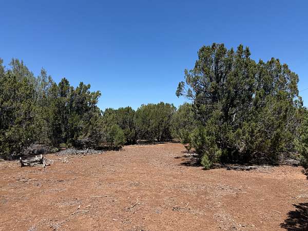 48 Acres of Land for Sale in Show Low, Arizona