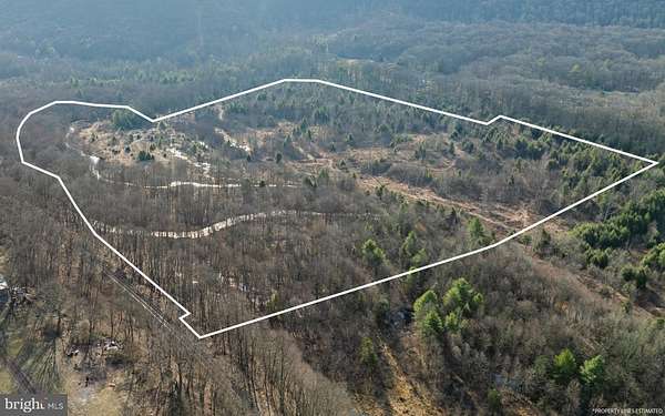 54.4 Acres of Recreational & Residential Land for Auction in Ashland, Pennsylvania