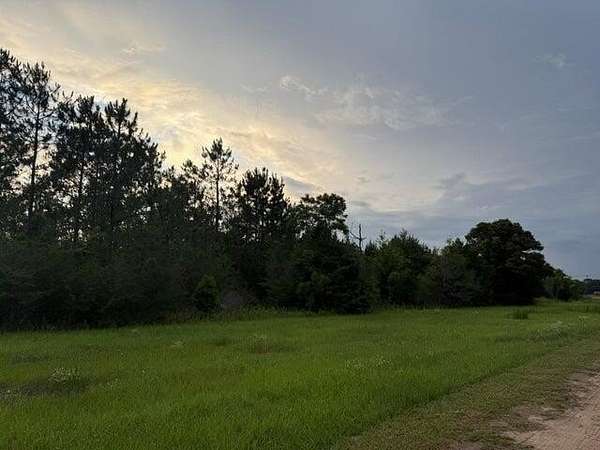 2.49 Acres of Residential Land for Sale in Paxton, Florida