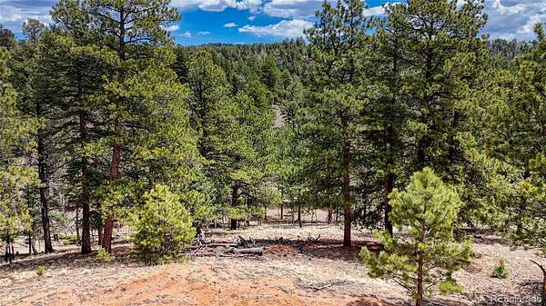 0.69 Acres of Residential Land for Sale in Florissant, Colorado