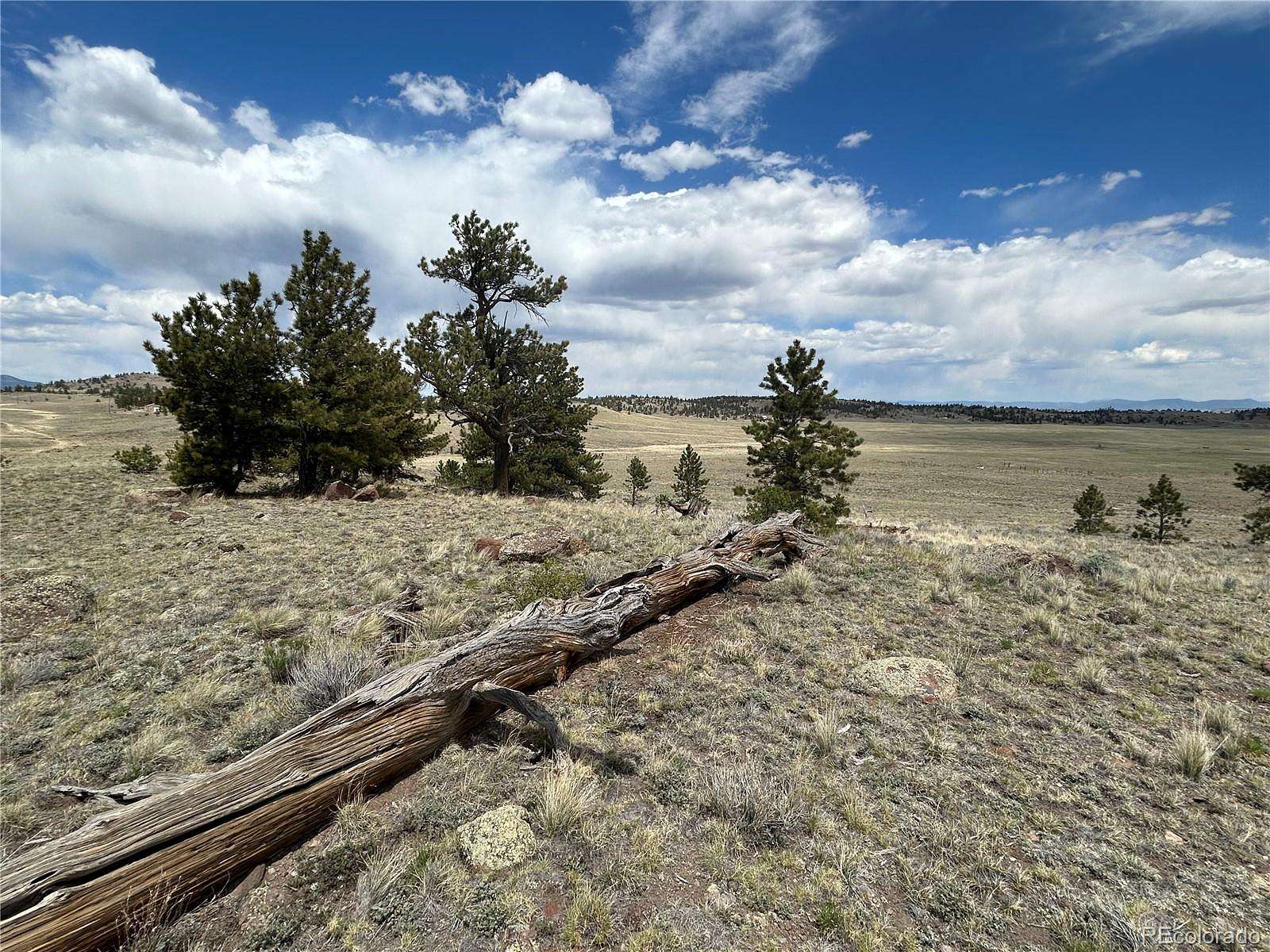 12 Acres of Land for Sale in Hartsel, Colorado