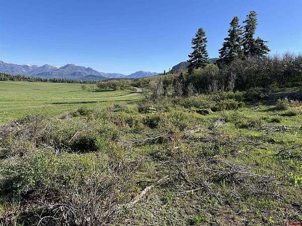 36.2 Acres of Land for Sale in Pagosa Springs, Colorado