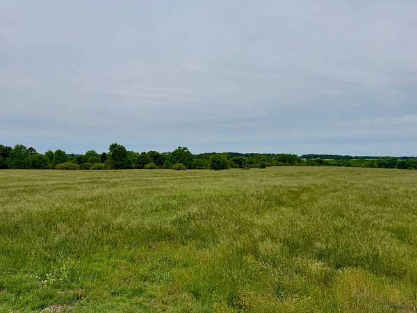 100 Acres of Land for Auction in Boaz, Alabama