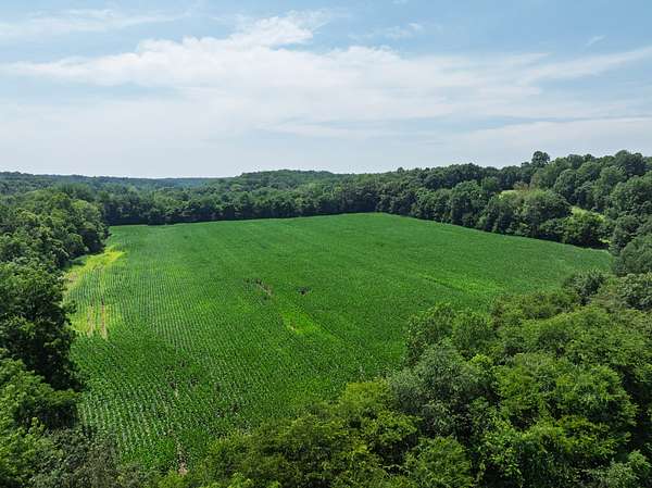 95.5 Acres of Land for Sale in Cumberland Furnace, Tennessee