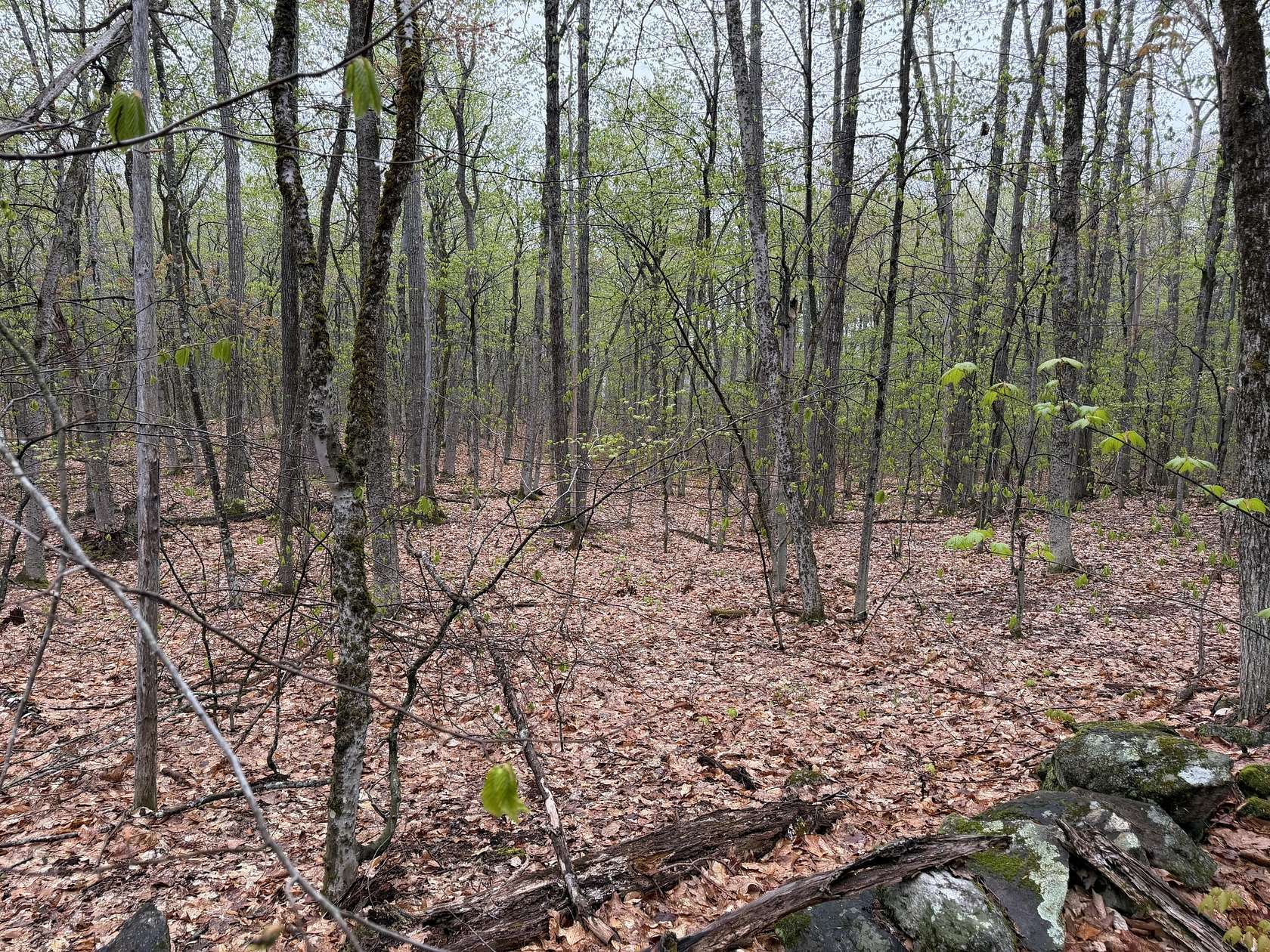 2.14 Acres of Residential Land for Sale in Acton, Maine