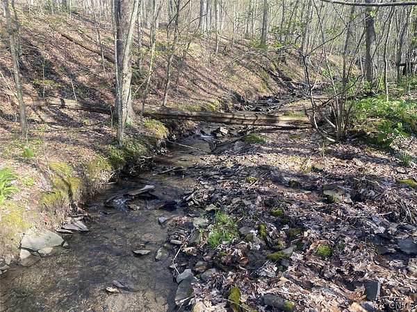 22 Acres of Recreational Land for Sale in Friendship, New York