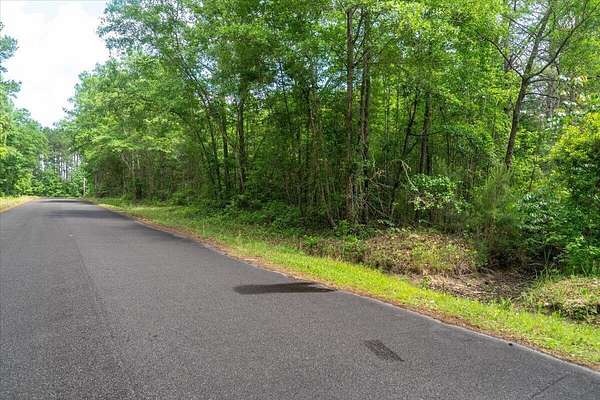 6 Acres of Land for Sale in Rowesville, South Carolina