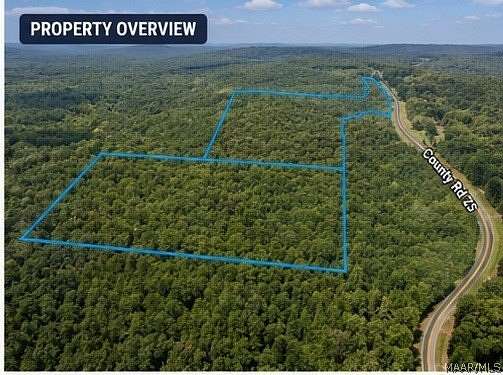 123 Acres of Land for Sale in Heflin, Alabama